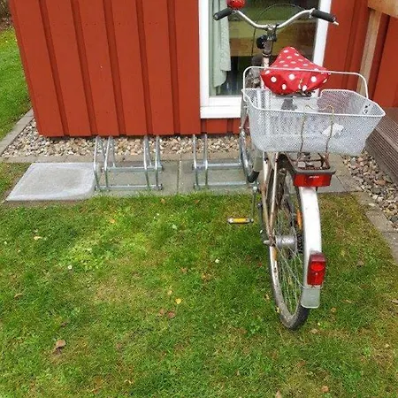 Seeschwalbe 161